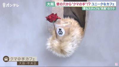 В Японии открыли кафе, где заказы выдает медвежья лапа - lifehelper.one - Япония