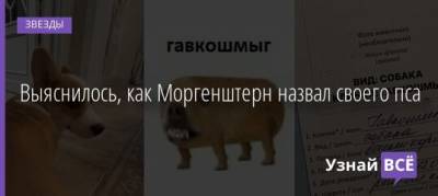 Выяснилось, как Моргенштерн назвал своего пса - uznayvse.ru
