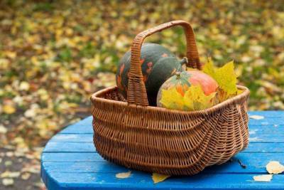 Лунный календарь с 25 по 31 октября: что следует сделать в огороде - sadogorod.club
