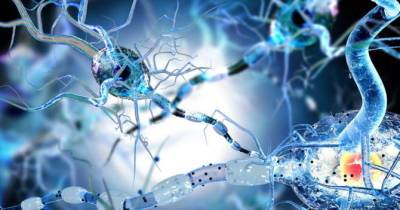 Вирусы могут способствовать нейродегенерации: результаты исследования - womo.ua - Германия