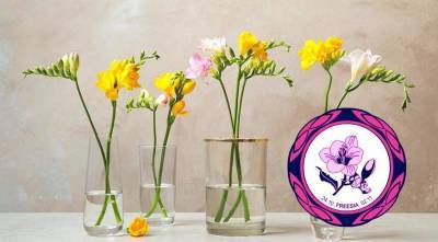 Цветочный гороскоп на 24 октября - 2 ноября: ваш цветок - фрезия - sadogorod.club