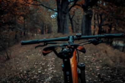 Клеопатра Буду - Осенне-велосипедное Выгорание в угли Свои Венгерские ультраправые Собственное видение Клеопатры Буду… - porosenka.net