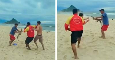 Все средства хороши: мужчина отбивался аллигатором в драке на пляже - porosenka.net - Бразилия - Рио-Де-Жанейро