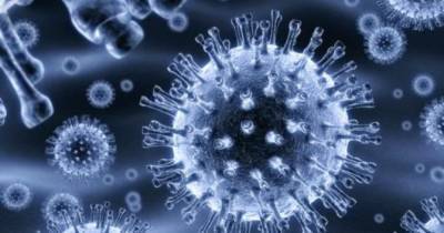 Во время пандемии коронавируса пропал один из самых распространенных штаммов гриппа: исследование - womo.ua - Мельбурн