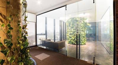 Лианы для декорирования стен и потолков в офисах и квартирах: крупные, устойчивые, красивые - sadogorod.club
