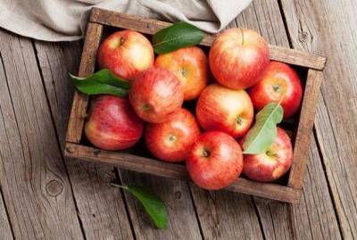 Правила хранения урожая яблок - sadogorod.club