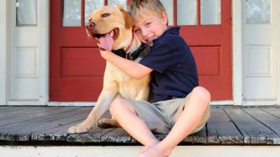 Хвостатый нянь: 10 пород собак, которые точно найдут общий язык с детьми - prelest.com