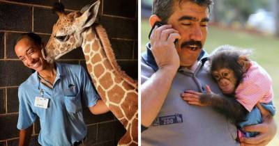 16 умилительных снимков о работе смотрителей зоопарка, которая не обходится без трепетных и радостных моментов - mur.tv