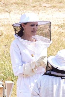 Анджелина Джоли - Самый гламурный пчеловод — Анджелина Джоли во Франции - chert-poberi.ru - Франция