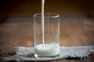 Какое молоко бывает в природе? Пять удивительных фактов - lifehelper.one