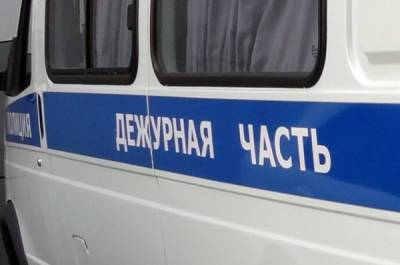 Водитель-мигрант изнасиловал пассажирку маршрутного такси - porosenka.net - Санкт-Петербург