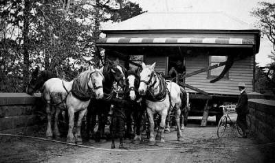 Переезд в XIX веке: на конной упряжке и со своим домом - porosenka.net - Сша