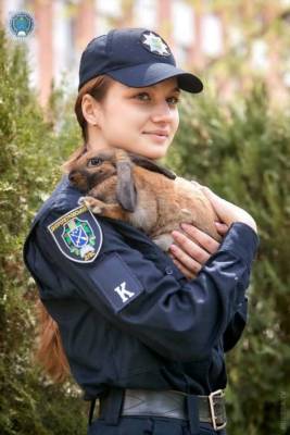 Кролик один день учился на полицейского - chert-poberi.ru