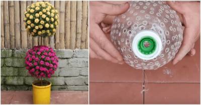 Креативное использование пластиковых бутылок для крутого живого декора - lifehelper.one