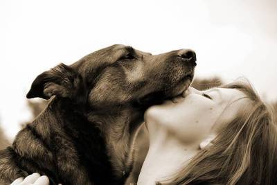 Новое исследование: женщины лучше и крепче спят с собаками, чем с любимыми людьми - mur.tv - Сша