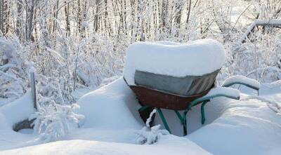 Как правильно подготовить садовый инструмент к зиме: 6 шагов по закрытию сезона - sadogorod.club