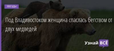 Под Владивостоком женщина спаслась бегством от двух медведей - uznayvse.ru - Владивосток - Приморье край - Магадан