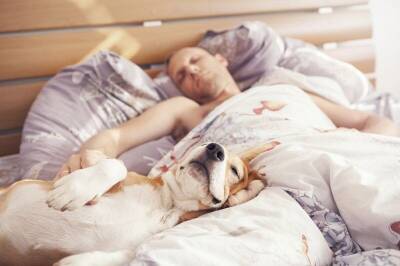 Специалисты раскрыли плюсы и минусы совместного сна с животными - mur.tv