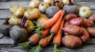 Как сохранить картофель, морковь и свеклу до весны: 5 вариантов хранения урожая - sadogorod.club