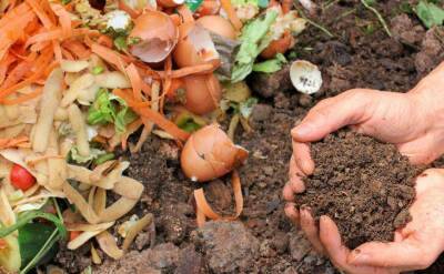 Какие ингредиенты портят компост и делают его вредным для огорода: этого не расскажет сосед - sadogorod.club