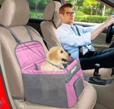 Что нового на рынке: выбираем автомобильное удерживающее устройство для собаки - mur.tv