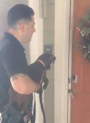 Полиция вернула пропавшего щенка хозяйке: ее бурная реакция ошеломляет - mur.tv