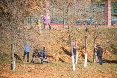 Как защитить плодовое дерево поздней осенью: что добавляют в побелку опытные дачники - sadogorod.club