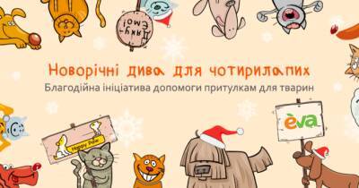 Новогодняя благотворительная акция от EVA: помощь приютам вместо новогодних корпоративных подарков - womo.ua - Украина