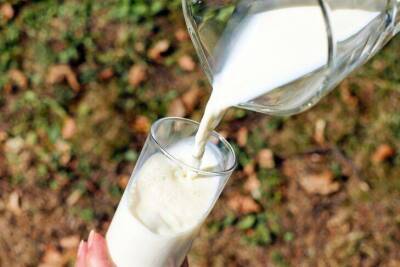 Способы использования молока на огороде: об этом не знают многие дачники - sadogorod.club