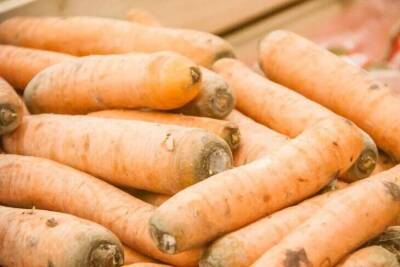 Как сохранить сочность моркови и свеклы: идеальный способ хранения - sadogorod.club