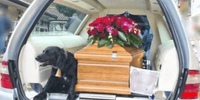 Невероятный поступок собаки на похоронах хозяина растрогал всех - mur.tv