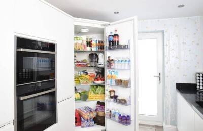 3 предмета, которые стоит класть в холодильник: не только продукты - lifehelper.one