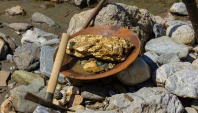 Сколько золота нашли кладоискатели во время золотой лихорадки в Аляске? - porosenka.net - Сша - Сан-Франциско - Канада - штат Аляска