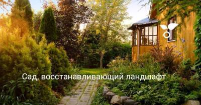 Сад, восстанавливающий ландшафт - sadogorod.club