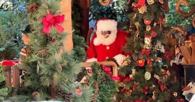 Клаус Сант - В американском «Диснейленде» появится темнокожий Санта Клаус: это впервые - womo.ua - Сша - штат Флорида - штат Калифорния