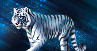 Готовимся к 2022 году: 5 главных правил Водяного Тигра для счастливой жизни - 7days.ru