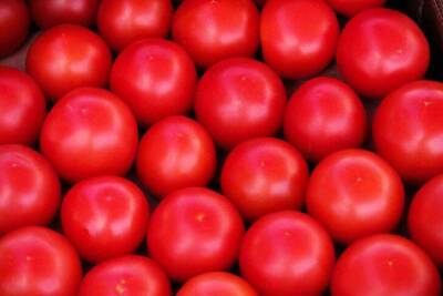 Как защитить помидоры от опасных болезней: бывалые дачники используют 5 дешевых средств - sadogorod.club