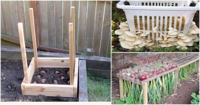 15 безумно умных идеи для садоводства при небольшом бюджете - lifehelper.one
