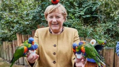 Ангела Меркель - Ангела Меркель за три дня до отставки посетила птичий парк Марлоу - chert-poberi.ru - Германия - Берлин
