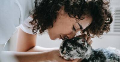 Нравлюсь ли я своей кошке? Зоологи раскрывают 6 характерных признаков - wmj.ru