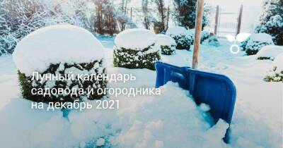 Лунный календарь садовода и огородника на декабрь 2021 - sadogorod.club