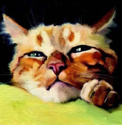 Художница Катя Минкина рисует кошек: филигранное исполнение - mur.tv - Москва - штат Айдахо