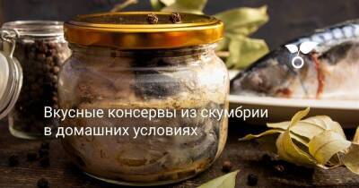Вкусные консервы из скумбрии в домашних условиях - sadogorod.club