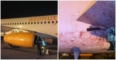 Сотрудники аэропорта показали последствия столкновения пассажирского самолета с косулей - porosenka.net - Россия