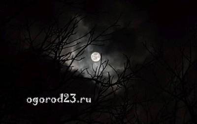 Луна в ноябре 2021 года, рекомендации садоводам и огородникам, календарь - sadogorod.club