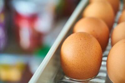 Как нельзя закладывать яйца в холодильник: многие хозяйки допускают вопиющую ошибку - lifehelper.one