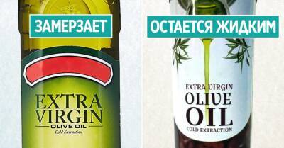 Тетя вернулась из Италии и просветила, как отличить качественное оливковое масло от подделки - takprosto.cc - Италия