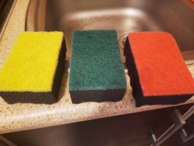 Светлана Протас - Почему губки для мытья посуды разных цветов и как их правильно использовать - belnovosti.by