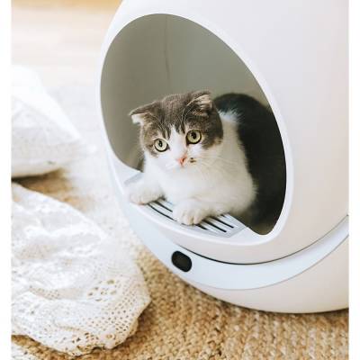 Автоматический лоток для вашей кошки: что нужно знать - mur.tv