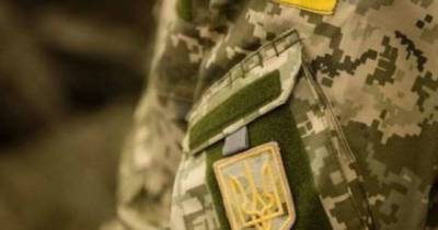 Давид Арахамия - Женщину на должности министра обороны в Украине бы не восприняли: Давид Арахамия - womo.ua - Украина